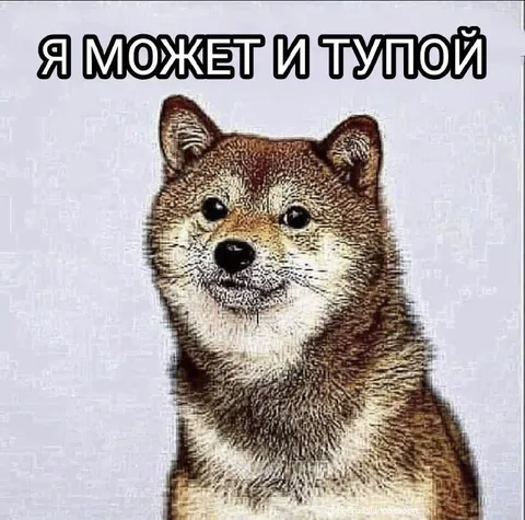 Я может и тупой