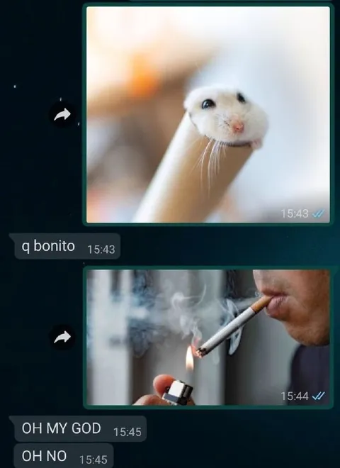 Cute Ferret Then Cigarette