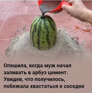 Жена хвастается цементным арбузом