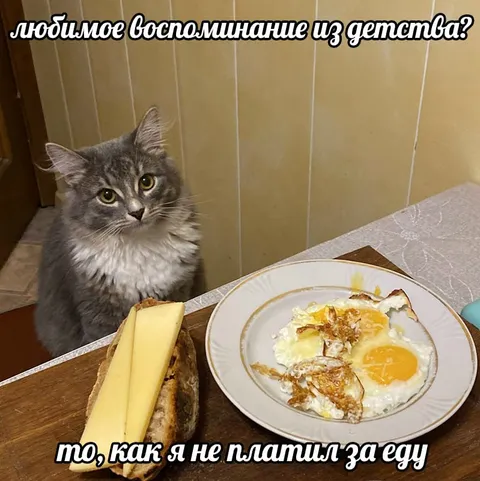 Кот вспоминает бесплатную еду