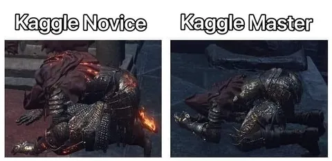 Kaggle Novice vs Master