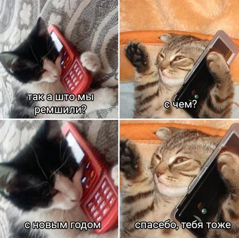 Кот поздравляет с Новым годом