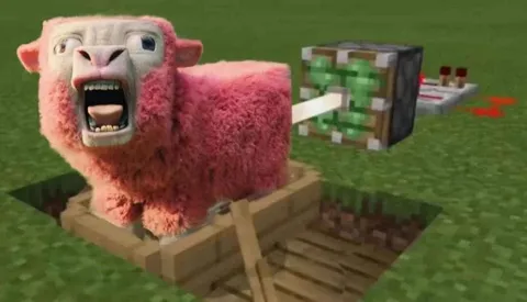 Кричащая розовая овца в Minecraft