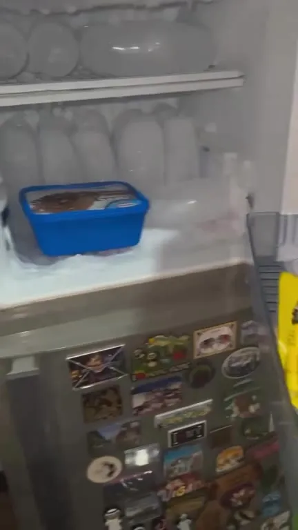Ice Cream Tub Fish Surprise