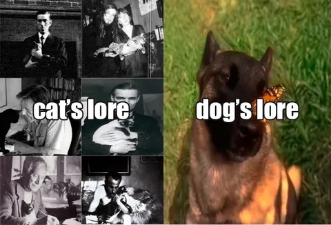 Cat’s Lore vs Dog’s Lore