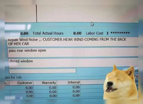 Doge Diagnoses Wind Noise