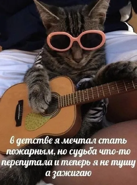 Кот, который зажигает