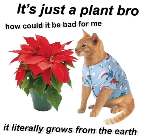 Cat Thinks Plants Are Safe