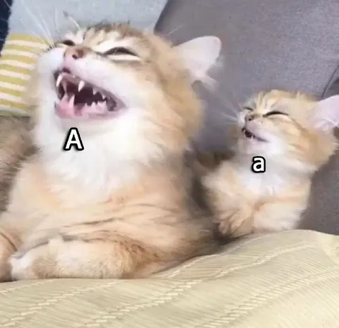 Big A and Little a