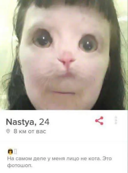 Лицо кота — это фотошоп