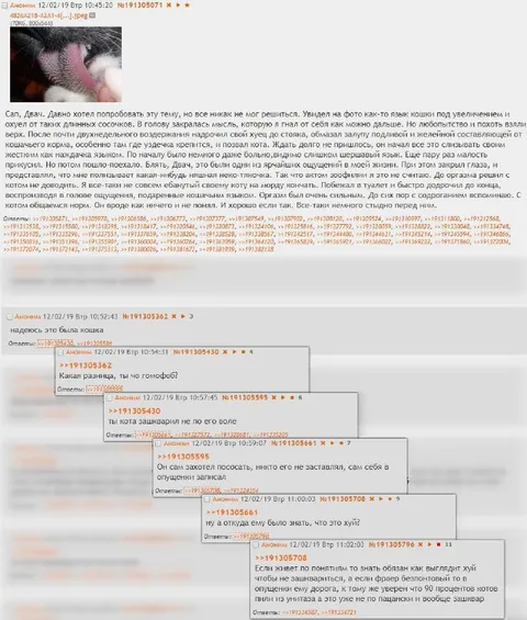 Язык кошки под увеличением