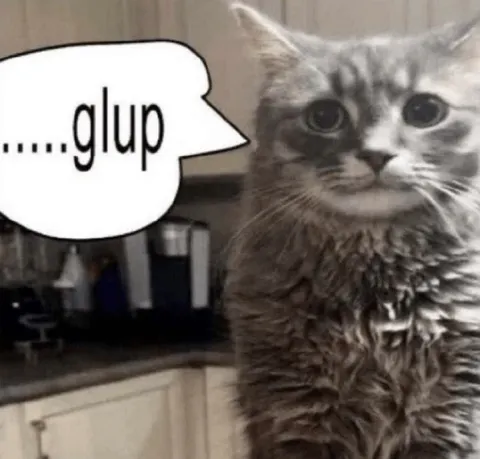 Кот говорит glup
