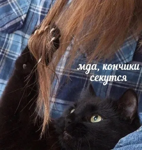 Мда, кончики секутся
