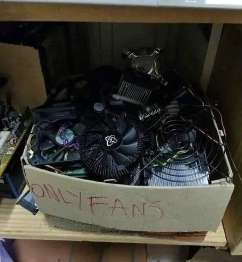 Only Fans Computer Parts