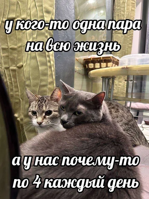 У кого-то одна пара на всю жизнь