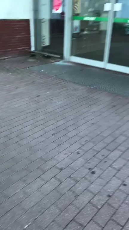 Pies chce wejść do Auchan