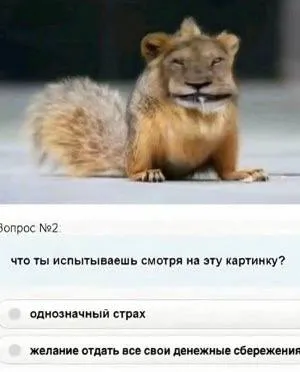 Что ты испытываешь, смотря на эту картинку