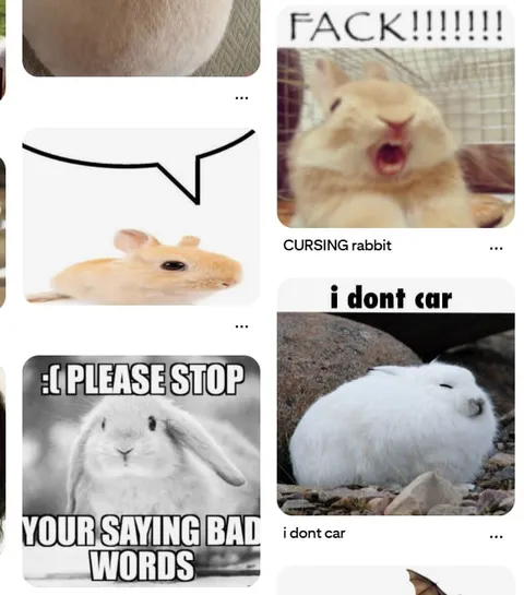 Cursing Rabbits Meme Collage