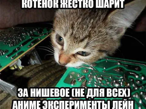 Котенок жёстко парит по Lain