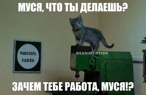 Муся, что ты делаешь?
