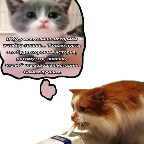 Хорошая история в голове