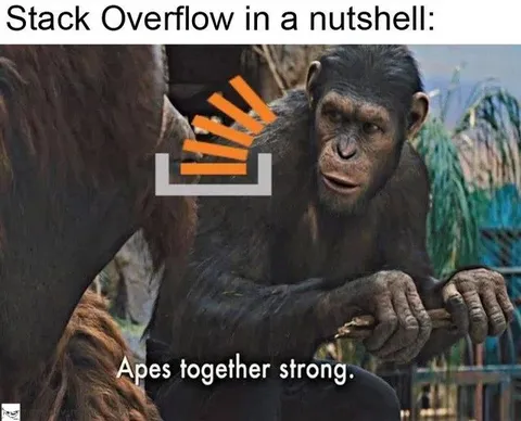 Stack Overflow in a Nutshell