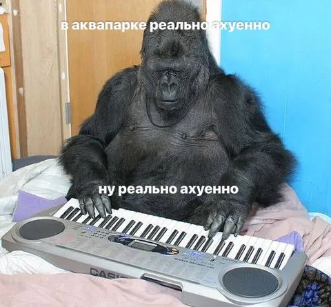 Горилла в аквапарке