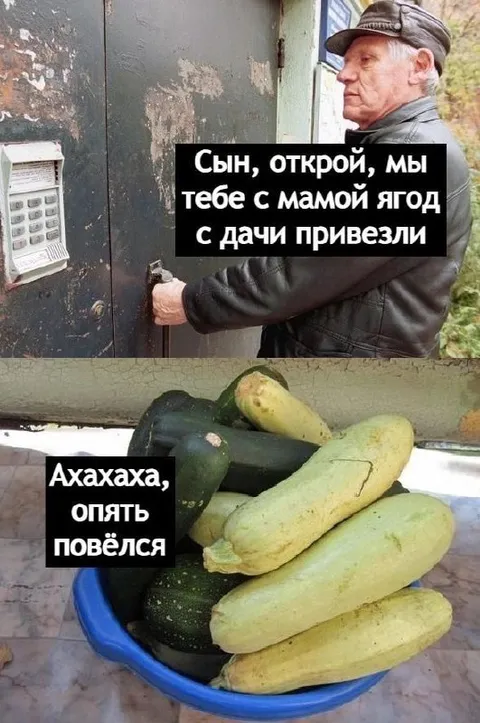 Сын опять повёлся на ягоды