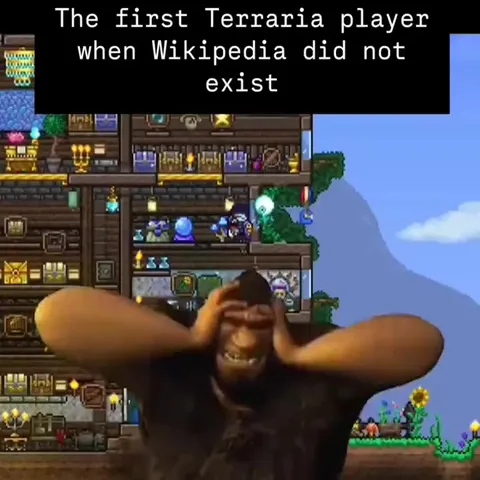 Terraria Player Without Wikipedia