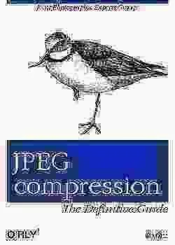JPEG Compression Bird