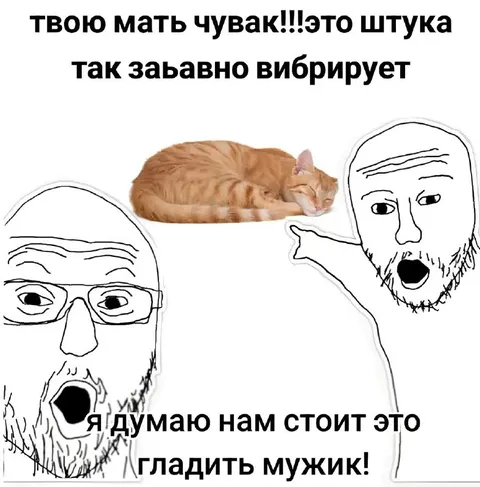 Кот забавно вибрирует