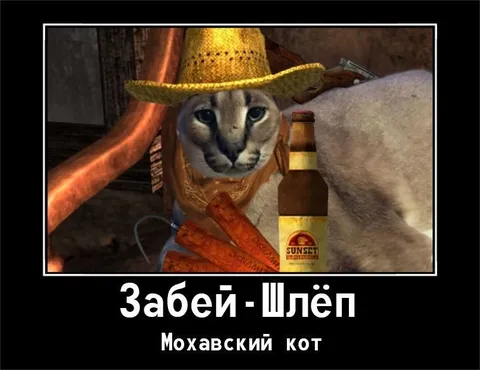 Забей — шлёп, Мохавский кот