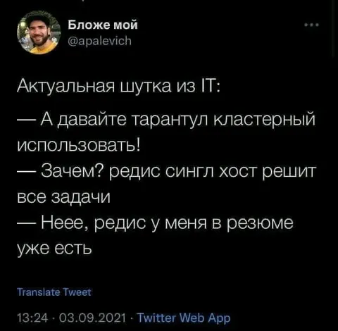 Тарантул кластерный в резюме