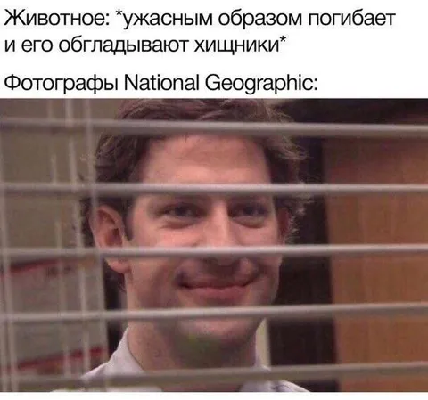 Фотографы National Geographic