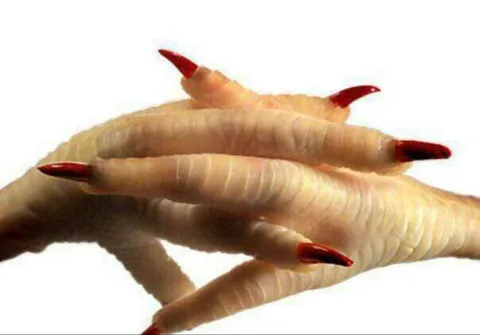 Куриные лапы с красными когтями