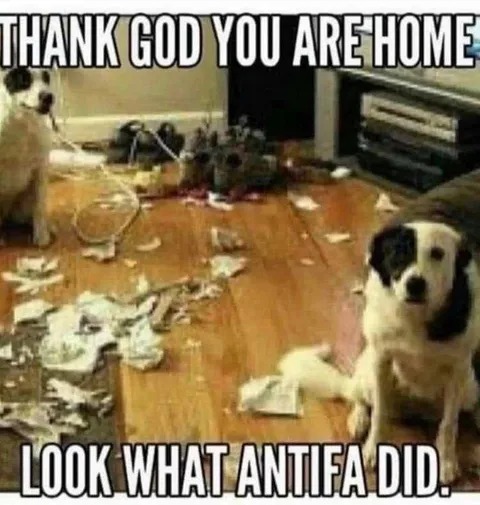 Dog Blames Antifa for the Mess