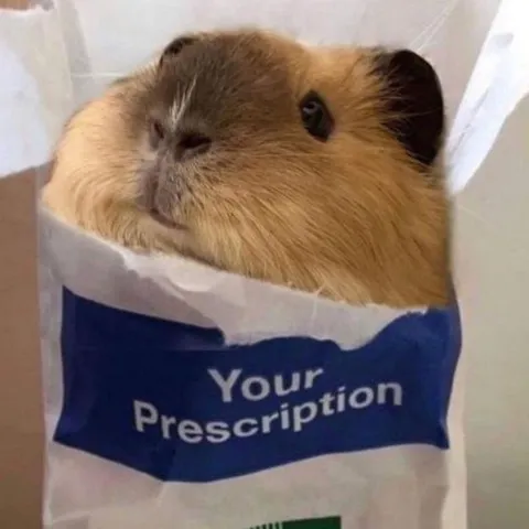 Guinea Pig Prescription