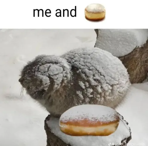 Me and Powdered Donut