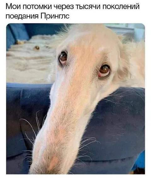Потомки после поедания Принглс