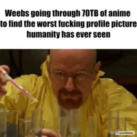Weebs Searching for the Worst Profile Picture