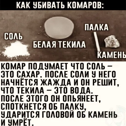 Как убивать комаров солью