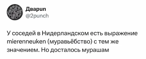 Муравьёбство досталось мурашам