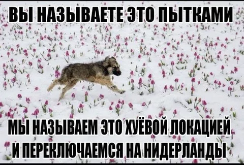 Переключаемся на Нидерланды