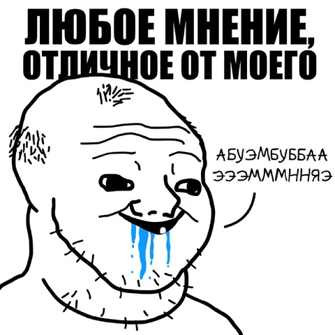 Любое мнение, отличное от моего