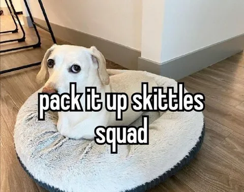 Pack It Up Skittles Squad