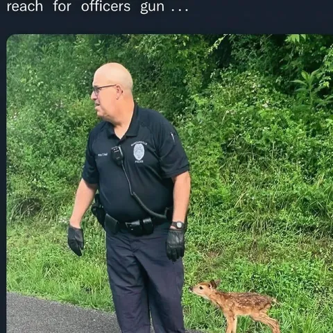Reach for Officer's Gun
