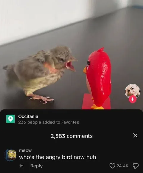 Who’s the Angry Bird Now