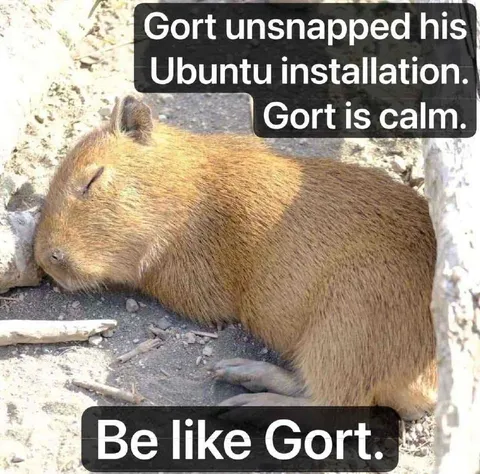 Gort Is Calm Ubuntu Meme