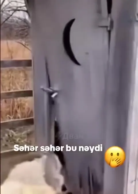 Səhər səhər bu nəydi