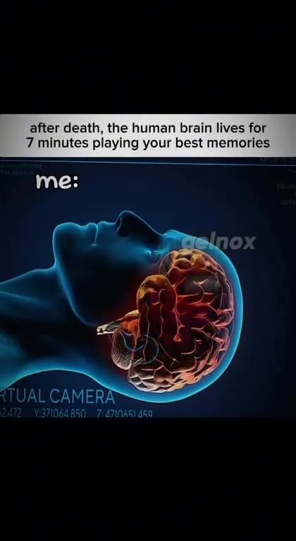 Brain Replays the Best Memories